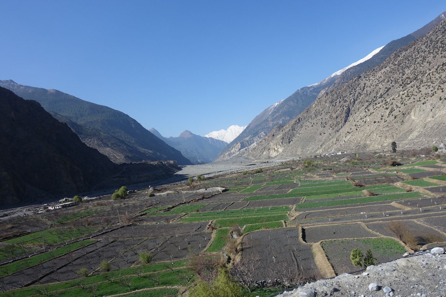 अब मालपोत धाउनु नपर्ने — २०७ पालिकाबाटै नापी र मालपोत सेवा सुरु हुने तयारी